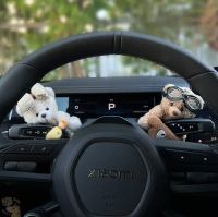 Car Steering Wiper Decor,Car Turn Signal Charm,Cute Bear Doll for Car,Car Interior Decoration,Car Wi