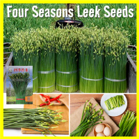 400pcs/pack Fresh Four Seasons Leek Seeds for Planting - High Yield Moss Leek Seeds for Planting Veg