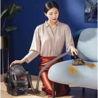 220V Electric Hand-held Steam Cleaner Sofa Curtain Car Cleaner Vacuum Spray Suction Integrated Clean Machine