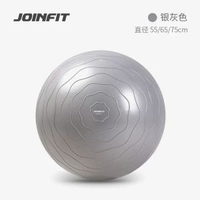 Joinfit草木芳華瑜伽球健身球孕婦專用助產分娩球兒童瑜珈球-草木芳華淡香-銀灰色 65cm(身高160-165cm)