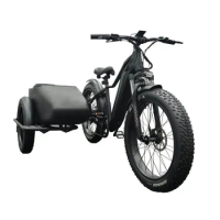 E bike Side Car Adult electric tricycle bicycle 3 wheel ebike cargo trike 750w hidden lithium battery etrike sidecar