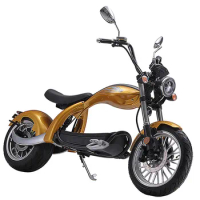 Model M5 Electric Scooter Tricycles for Adult 1500W/2000w/3000w 12AH/20AH Fat Tire Motorcycle Trike