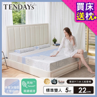 【TENDAYS】希臘風情紓壓床墊5尺標準雙人(22cm厚 可兩面睡 記憶床墊)-買床送枕