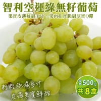 【果之蔬】智利空運綠無籽葡萄(約500g/盒)x8盒