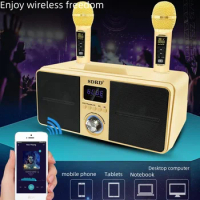 Outdoor Portable Wireless Bluetooth Speaker Home Karaoke System Stereo Surround Subwoofer Music Boombox with Dual Microphone