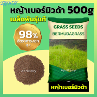 TGWH [Wholesale 1kg]  Bermuda Grass Seeds Seeds Bermuda Grass Seeds