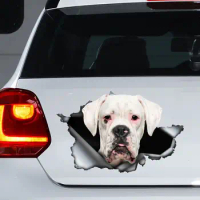 White boxer car decal, White boxer magnet, boxer dog sticker