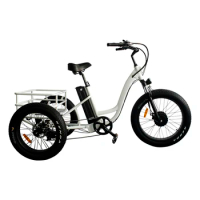 Ristar hot sale electric cargo bike with cabin cargo tricycle with CE certification for sale 3 wheel Bafang hub motor mid motor
