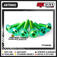 SALE TITANIUM PROBOLT BAUT VISOR KAWASAKI NINJA RR GRADE 5 KING NUT