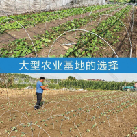 【全球優品匯】支架 農用小拱棚拱桿支架育苗保溫棚菜棚玻璃纖維彈力棒葡萄避雨棚支架