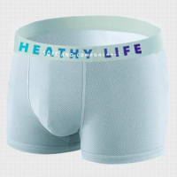 Men Mesh Ice Silk Breathable Shorts Boxer Brief Pouch Middle Waist Panties Lingerie Underwear Youth Cool Men's Boxer Shorts