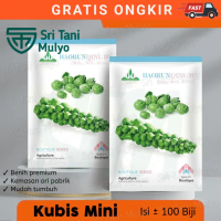 OL - BENIH KUBIS MINI BERKUALITAS KEMASAN PABRIK-STM