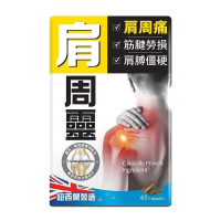 正品藥業 - 正品炎痛消肩周靈 45粒 45粒