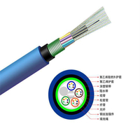 【台灣公司 超低價】國標煤礦用阻燃光纜MGTSV/MGXTSV4/6/8/12芯24/48單模鎧裝光纖線