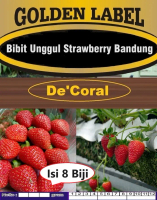 Bibit Unggul Strawberry Bandung |Biji Bibit Stroberi Bandung| Strobery Best Seller