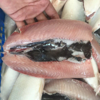 【Zhuyin】台南特大去刺鮮美虱目魚肚10片(200-250g±10%/片 共10片 -凍)
