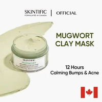 WHS - SKINTIFIC Mugwort Acne Clay Mask 55gr