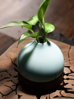 花瓶陶瓷餐桌小清新擺件家居客廳插花裝飾創意花器家用綠蘿水培瓶
