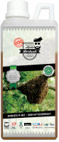 Madu sialang / tualang asli murni 100% nektar multiflora dominan akasia dari sei mandau kab. Siak 1k