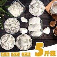 【5斤】多肉裝飾小石子花盆植物鋪面石頭魚缸盆栽鵝卵石白色石頭