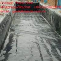 Geomembrane Price 2mm Hdpe Plastic Pond Liner Fish Tank Waterproof Liner Waterproof Membrane