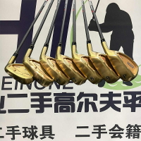 二手 EPON 503 金色男士鐵桿組 KBS桿身練習鐵桿 正品