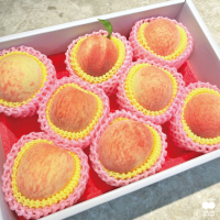 【舒果SoFresh】台灣紅鈴水蜜桃8入禮盒(約1.2kg/禮盒 母親節禮盒)