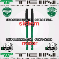 shockbreaker shock absorber Suzuki ignis merek tein enduro pro belakang original 2 pcs
