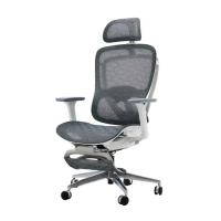 【完美主義】Gordon戈登全網機能人體工學椅(電腦椅/辦公椅)