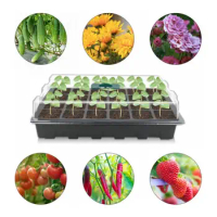 Holes Seedling Tray Seedling Box With Big Holes Gardening Flower And Plant Pots Greenhouse Seed Planting Box With Lid