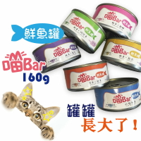 【寵物花園】喵Bar鮮魚罐160g 貓副食 貓罐 白肉罐 化毛