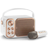 Bluetooth Speaker Soundbar Retro Radio Appearance Portable Wireless Speaker with PA Speaker System Microphone for Home Party
