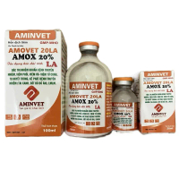 Amox 20% LA chuyên trị viêm tử cung, viêm vú, tụ huyết trùng, kế phát bệnh truyền nhiễm ( tai xanh, 