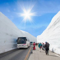 【北陸立山黑部雪壁】初夏繡球花季.牧歌高原花卉.風早之里.合掌村.馬籠宿.松本城.溫泉六日