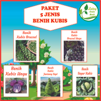 PAKET 5 JENIS KUBIS (KUBIS HIJAU,KUBIS UNGU,KUBIS JANTUNG SAPI,BRUSSEL HIJAU, BRUSSEL UNGU)