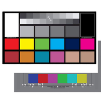 [4美國直購] DGK Color Tools Digital Kolor Pro 16:9 視訊校色卡(2片裝) Color Calibration and Video Chip Chart