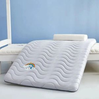 加厚床墊尺寸70x170家用床褥0.9米80x180x60x160x110x190x140大豆款-抗菌床墊-獨角獸灰（加厚款）100*180cm