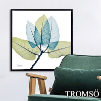 TROMSO北歐時代風尚有框畫-藍綠葉脈50X50CM
