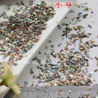 100g/lot Natural Crushed Abalone Shell Mother of Pearl shell for DIY Jewelry Crushed Shell MOP Pearl shell for fake nails