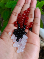 Replika Mustika Lipan Batu Asli Sulaiman/Cempaka