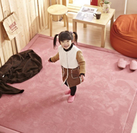 新款加厚2.5cm日本190*190 CM 纖細超厚珊瑚絨地毯 地墊 爬行墊 遊戲墊 加厚地毯