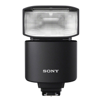 SONY HVL-F46RM 外接式閃光燈 (公司貨)
