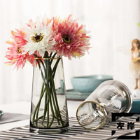 玻璃花瓶描金北歐T型簡約家居裝飾插花花器擺件