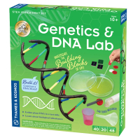 【英國T&amp;K】越玩越聰明STEAM寶盒：德國製造 新版基礎遺傳學 基因和DNA(665007-Genetics&amp;DNA)