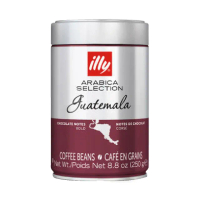 【illy】瓜地馬拉 Guatemala 單品咖啡豆(250g)