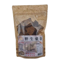 【亞源泉】純正100%野生桑黃靈芝 150g/包(桑黃靈芝)