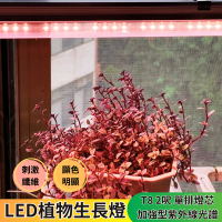 【JIUNPEY 君沛】2入組 T8 2呎12.5W紫外線UV加強型光譜植物燈管(植物生長燈)