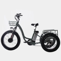 2022 New arrival Electric Trike Tricycle cargo bike 500W 750W 3 Wheel delivery bike e bike fat tire