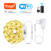 Tuya WIFI LED Strip Light DC 12V Wireless App Control 2835 Night Lights Backlighting Smart Home Life Work With Alexa Google Home