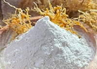 Tepung Karagenan Pengeyal Bakso 25 KG KHUSUS GOJEK